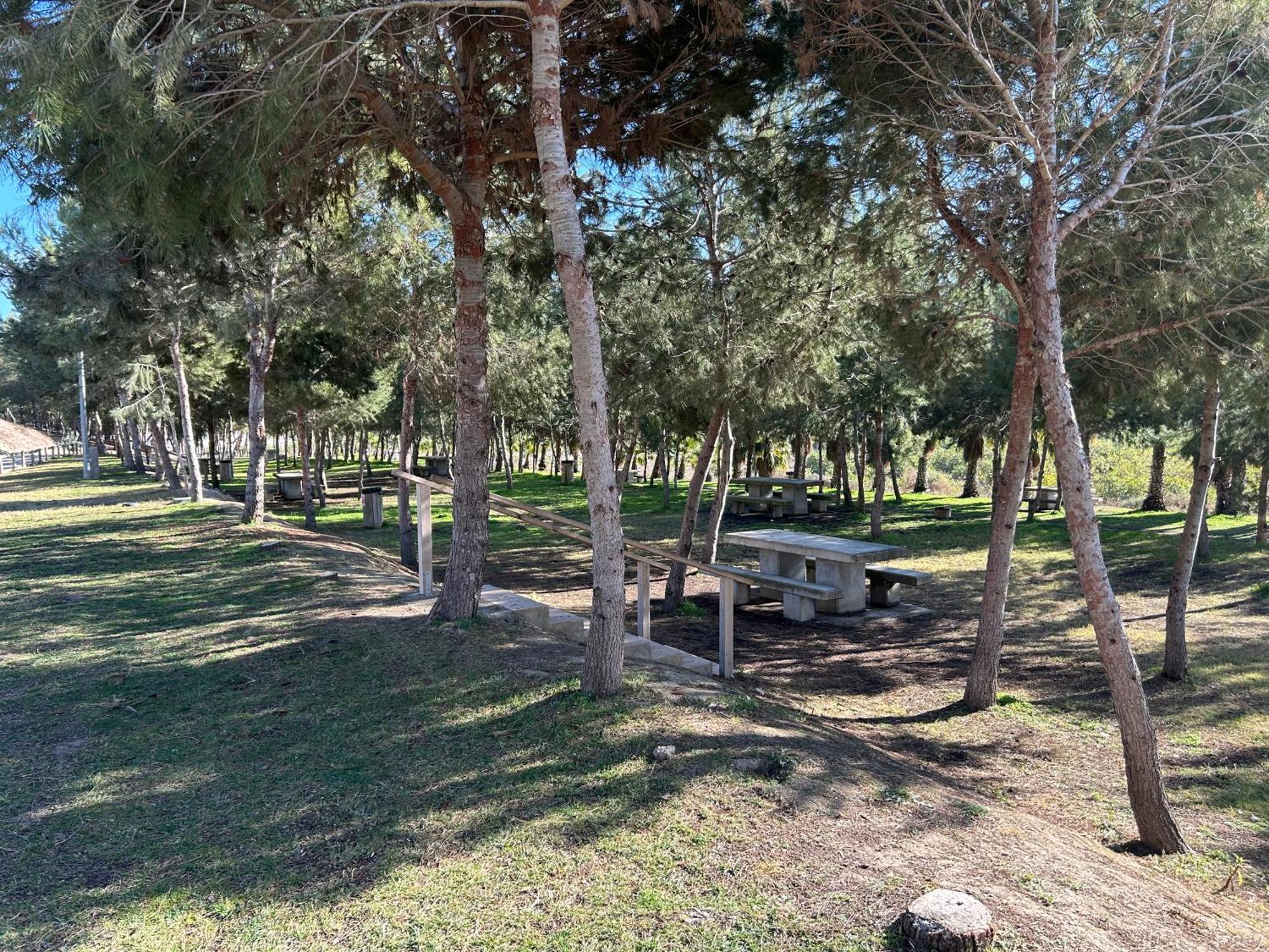 S&f- * Algorfa